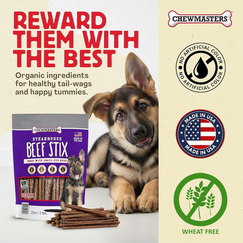 2 lb Chewmasters Beef Stix - Grass-Fed Beef Dog Treats, Soft Chewy Real Meat, Healthy Dog Treats for Training Rewards