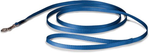 PetSafe Nylon Dog Leash - Strong, Durable, Royal Blue, 3/8 in. x 6 ft. with Bolt Snap