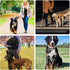 Leather Short Dog Lead, Heavy Duty Traffic Pet Leash with 360º Metal Hook for Large Medium Dogs