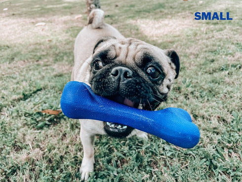 Tuff Pupper SuperChewy Tough Dog Bone Toy, Lifetime Replacement, Strong Natural Rubber, Great Fetch Toy for Dogs