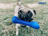 Tuff Pupper SuperChewy Tough Dog Bone Toy, Lifetime Replacement, Strong Natural Rubber, Great Fetch Toy for Dogs