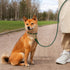OOPSDOGGY 6ft Reflective Rolled Leather Dog Leash - Soft Lead for Small Medium Large Dogs, Heavy Duty Rope (Green,