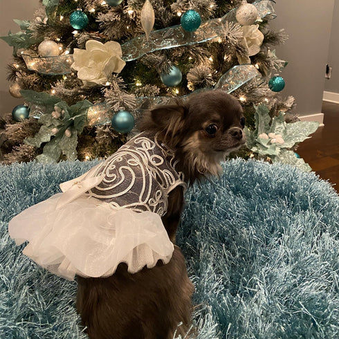 Hollow Dog Wedding Dress Tutu Skirt, Luxury Lace Pearl Bow Christmas Dress Costume for Small Dog (S, White)
