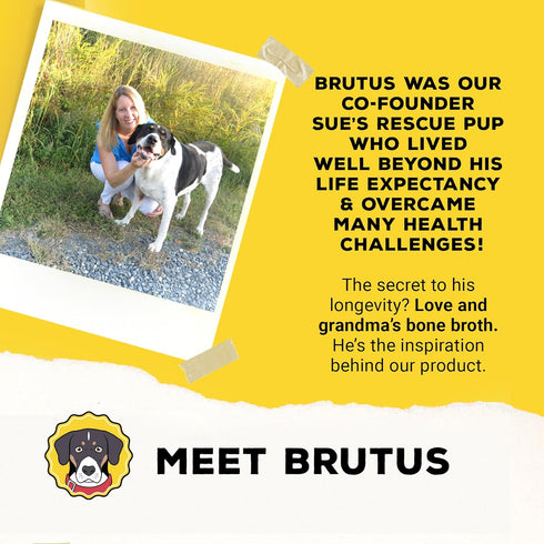 Brutus Bone Broth for Dogs, Bone Broth Powder with Chondroitin Glucosamine & Turmeric, Human Grade Food Toppers (Beef)