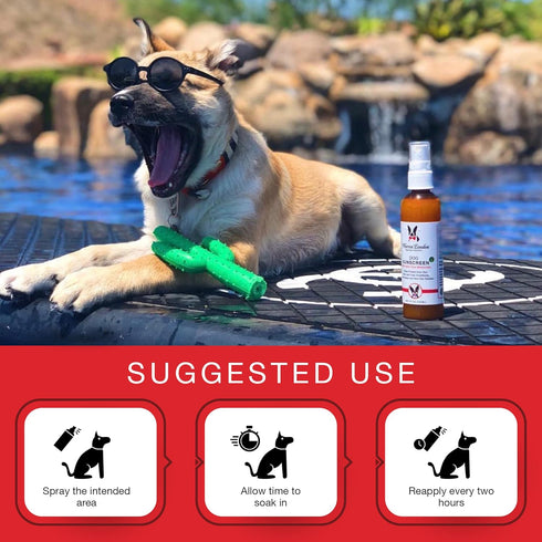 Warren London Dog Sunscreen Spray with Aloe Vera - Puppy Sunblock Skin Soother Made in USA, 4oz