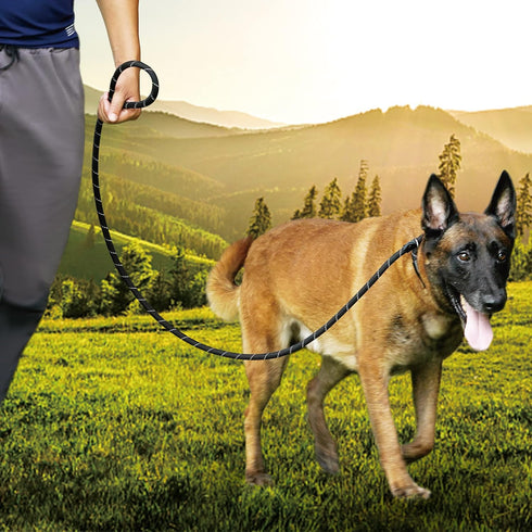 6FT Reflective Slip Leash for Large Medium Dogs, Non Slip Training Slip Leash for Dogs
