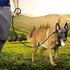 6FT Reflective Slip Leash - Non-Slip Training Leash for Large and Medium Dogs