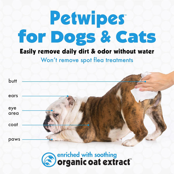 Petkin Big N' Thick Petwipes, 100 ct