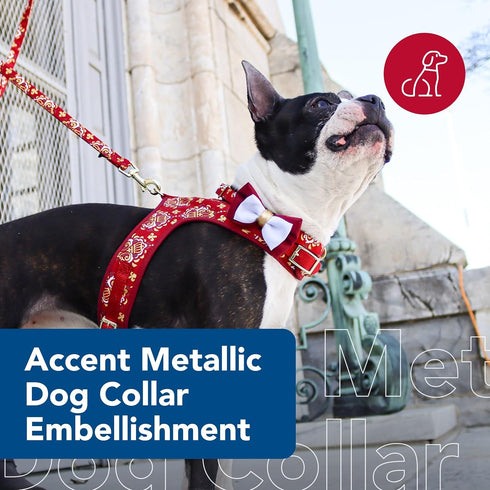 Coastal Pet - Accent Metallic Dog Collar Embellishment, One Size, Burgundy Bow