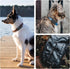 Waterproof Silicone Case Holder for Galaxy Smarttag2, 2 Pack Pet Collars, Anti-Lost Scratch Resistant Cover for Samsung