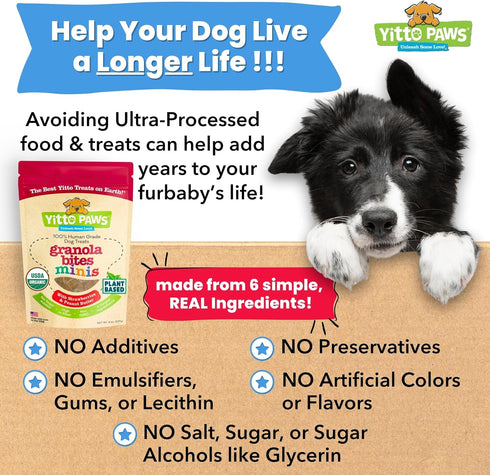 Organic Puppy Treats - Healthy Dog Training Treats, All Natural Dog Biscuits for Small Dogs & Puppies, Mini Peanut