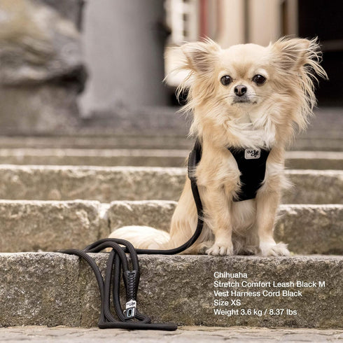 Stretch Comfort Leash, Brown L