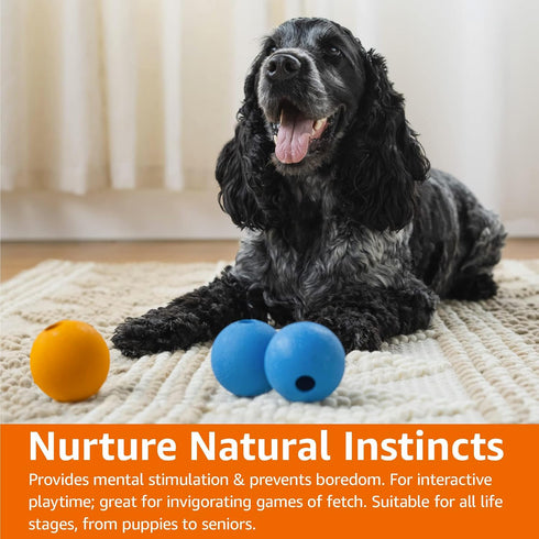 Amazon Basics Supreme Rubber Toy Dog Balls, 2.5-Inch, 3-Pack, Blue and Orange
