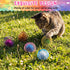 5 Jecery Pcs Cat Spring Toys Stretchable Rolling Balls Colorful Playful Coils Interactive Action Toy Caged Rats