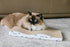 Cat Scratcher 4 PCS Pad - Cardboard with Premium Reversible Scratch Textures, Durable Scratching Pad