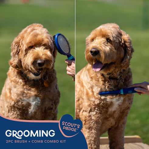 Good Scout 2-Piece Deshedding Tool Set, Cat & Dog Comb for Grooming and Matting