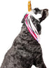Midlee Dog Unicorn Horn Headband for Halloween Costume
