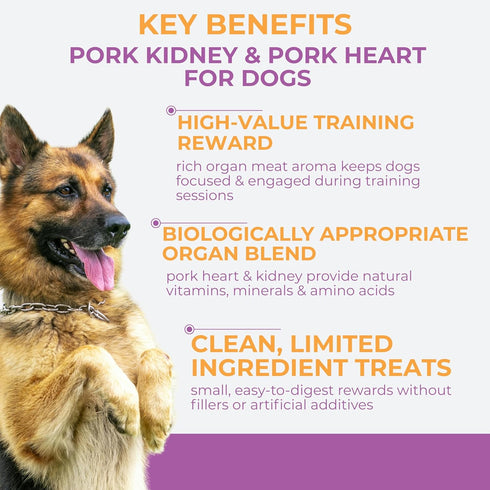 2.5 oz Momentum Carnivore Nutrition Freeze-Dried Pork Training Bites Two Ingredients-Pork Kidney and Heart, Grain-Free