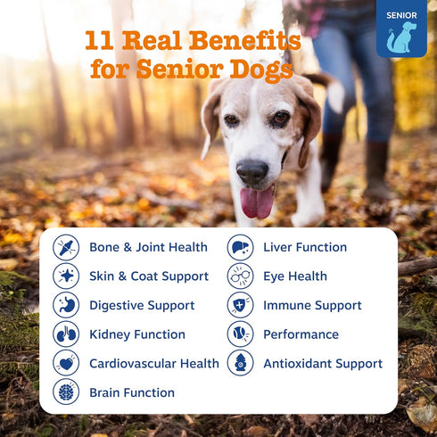 Immune 60ct Zesty Paws Senior Dog Multivitamin Treats - Glucosamine for Dogs + Digestive Enzymes & Probiotics - Grain