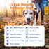 Immune 60ct Zesty Paws Senior Dog Multivitamin Treats - Glucosamine for Dogs + Digestive Enzymes & Probiotics - Grain