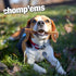 Chomp'ems 12 oz Purehide Sticks Healthy Natural Rawhide Dog Chew