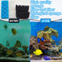 18 Sets 206/207 Threlaco Pcs Aquarium Filters Bio Sponge Compatible with Fluval Aquarium Filters Including Blue White