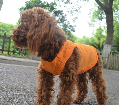 2018 Pet Clothes Dog T-Shirt Tanks Vests for Small Medium Large Dogs, 100% Cotton Summer Vest, Classic (L, Orange)