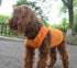 2018 Pet Clothes Dog T-Shirt Tanks Vests for Small Medium Large Dogs, 100% Cotton Summer Vest, Classic (L, Orange)
