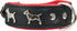 Real Leather Soft Padded Dog Collar, 1.75" Wide for Bull Terrier (13"-15.25" Neck, Black/Red)