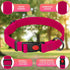 Adjustable Dog Collar with Safety Lock Buckle - Made in USA, Honeycomb Waterproof Heavy Duty Collar for Medium Large