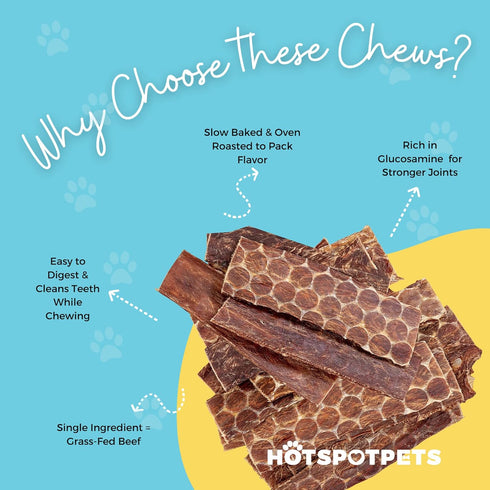 hotspot pets Beef Dog Treats Esophagus (6 Inches) - 100% Natural Healthy Chews for Dogs - Meat Jerky Snack with, All Natural from Grass Fed Cattle (20 Pack)