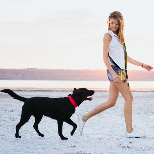 6 ft. Bungee Dog Leash - Heavy Duty with 4 Traffic Handles, Mighty Carabiner Clip, Ultra Reflective for Large Dogs