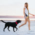 6 ft. Bungee Dog Leash - Heavy Duty with 4 Traffic Handles, Mighty Carabiner Clip, Ultra Reflective for Large Dogs