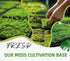 Generic Pack 2 Live Moss Duo Varieties Mixed Moss for Reptile Terrariums, Amphibian Habitats, Bonsai, Vivariums