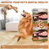 Dog Chew Toys for Aggressive Chewers, Sturdy Bones for Large, Medium, Small Breeds, Tough Dog Toys for Puppies