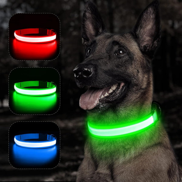 BSEEN Reflective LED Dog Collar - Light Up Dog Collars for Safe Walking at Night - Rechargeable for Dogs, Neon Green,
