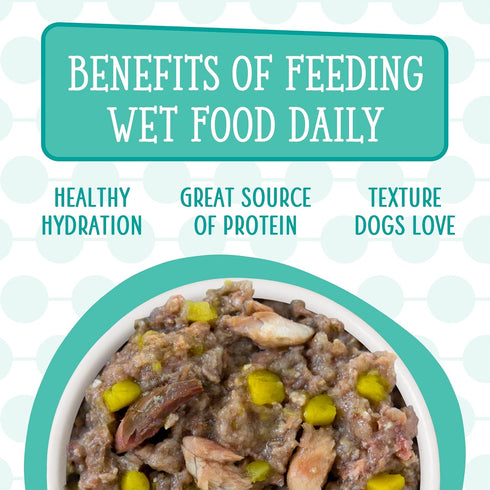 Weruva Dogs in The Kitchen, Doggie Dinner Dance Variety Pack, Wet Dog Food, 10 oz Cans, Pack of 12