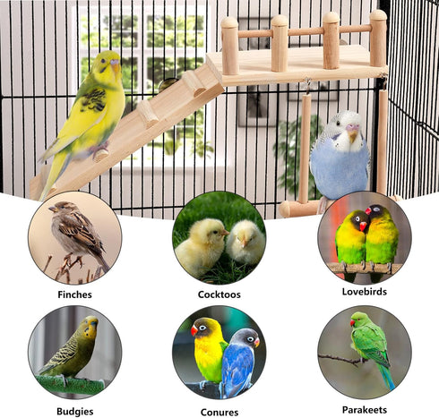 Bird Perches Platform Swing with Climbing Ladder, Sturdy Wooden Playing Gyms for Small Birds