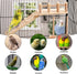 Bird Perches Platform Swing with Climbing Ladder, Sturdy Wooden Playing Gyms for Small Birds