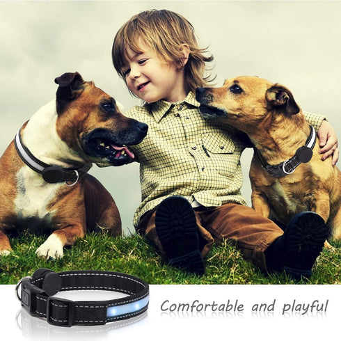 Light Up LED Dog Collar, Rechargeable Safety Glow in the Dark, Adjustable for Small/Medium/Large Dogs, L Size