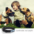 Light Up LED Dog Collar, Rechargeable Safety Glow in the Dark, Adjustable for Small/Medium/Large Dogs, L Size