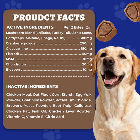 260 Immune, Bites Turkey Tail Mushroom for Dogs - Gut, Skin, Joint Health Mushroom Supplement for Dogs - Turkey Tail