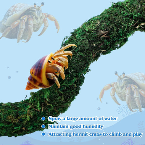 Fiwochic 14 Pcs Hermit Crab Accessories Natural Hermit Crab Toys Coconut Shell Hideout Climbing Bridge Moss Stick