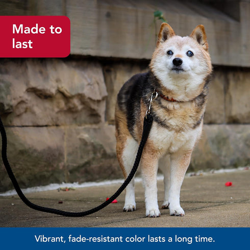 Coastal Pet Rope Dog Leash, Tangle-Free Walking, Soft-Braided Nylon, Fade-Resistant Colors (Teal, 1/2" x 06')