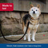 Coastal Pet Rope Dog Leash, Tangle-Free Walking, Soft-Braided Nylon, Fade-Resistant Colors (Teal, 1/2" x 06')