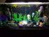 LED Aquarium Light, 7.5inch Colorful Submersible Fish Tank Light with Adjustable Brightness and Memory Function