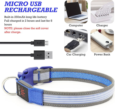 YFbrite Full Adjustable LED Dog Collar, Reflective Light Up Collar for All Dogs Safety (Medium, Blue-2)