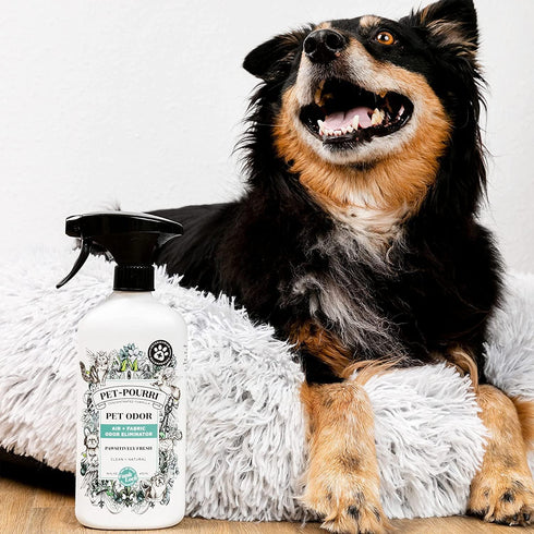 Pet-Pourri Odor Freshener Spray, Pawsitively Fresh, 16 Fl Oz, Air + Fabric Odor Eliminator