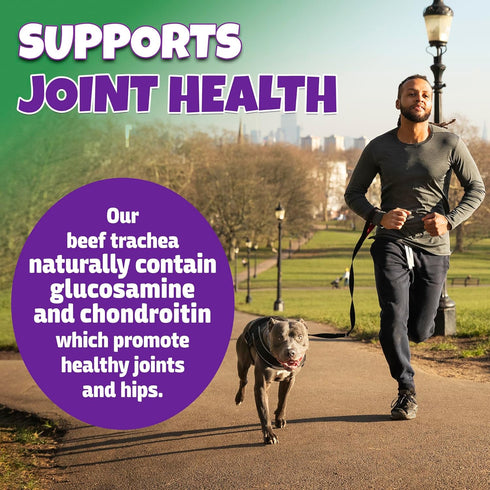100% 10-Pack Beef Trachea for Dogs with Natural Glucosamine, Large Trachea Dog Chews for Joint Health with Chondroitin