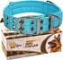 ADITYNA Reflective Blue Heavy Duty Dog Collar with Handle for Medium Dogs - Soft Neoprene Padded for Training (Medium: